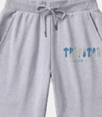 Trapstar Shorts Australia – Gray It's A Secret Shorts with signature branding
