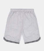 Trapstar Shorts Australia – Grey/Blue Shooters SS23 Basketball Shorts, two-tone